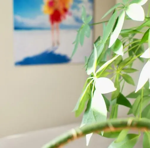 Oasis De Cauderan Burdeos