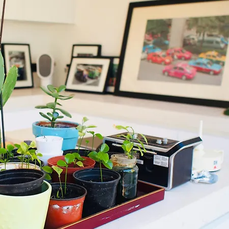 Villa Oasis De Cauderan