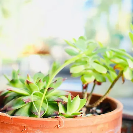 וילה Oasis De Cauderan *