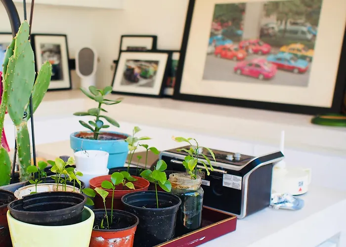 Villa Oasis De Cauderan